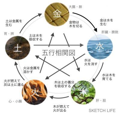 風水 東南|風水｜南東の方角が持つ気と運は？開運に効果的な部 